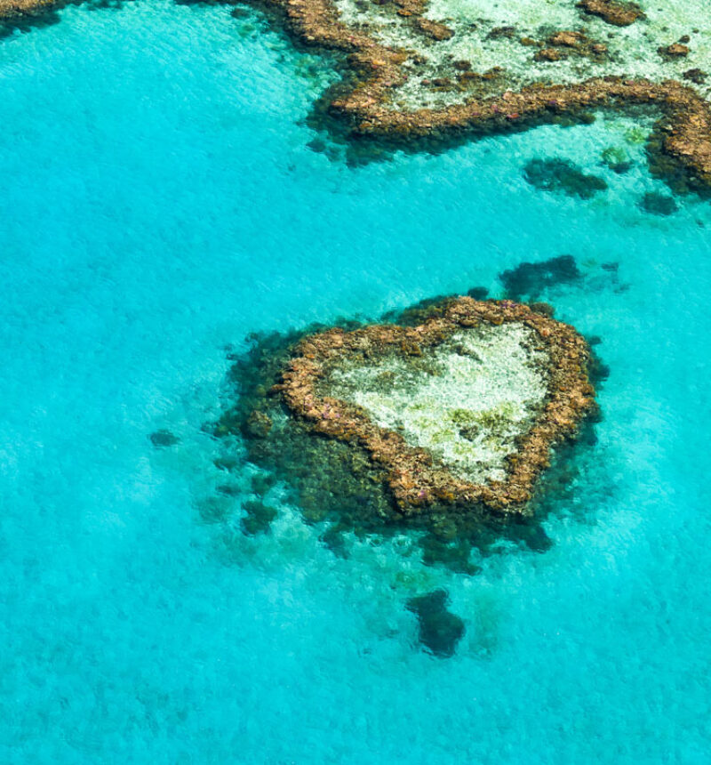 Australia-heart-reef