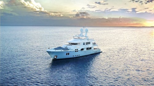 VIVIERAE II