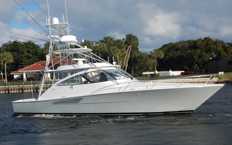 DARLIN MARLIN sport fish profile shot
