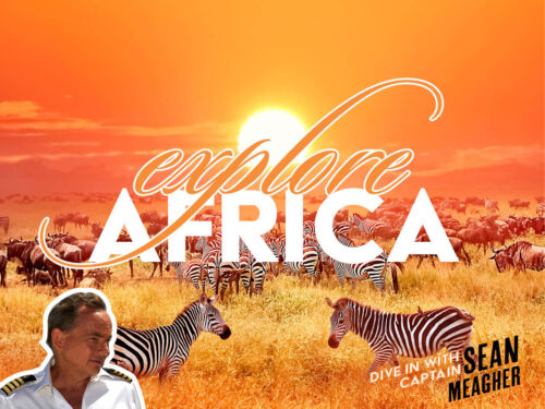 Dive in with Captain Sean AFRICA