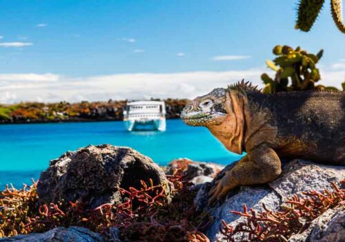 Galápagos Islands Yacht Charter Itinerary