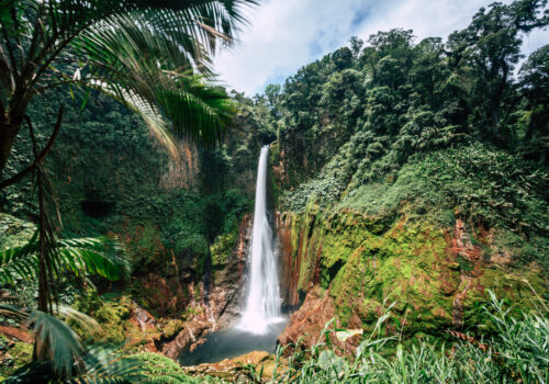Catarata del Toro into the Rainforest, Costa Rica, Central America