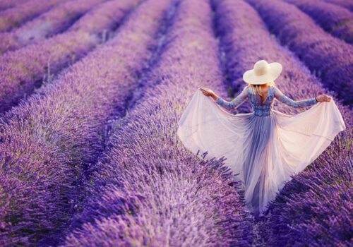 Pelindaba-Lavender-Farm.jpg