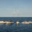 Worth Avenue Yachts Seattle Location Named as New Authorized Representative for Sanlorenzo Yachts and Bluegame Yachts