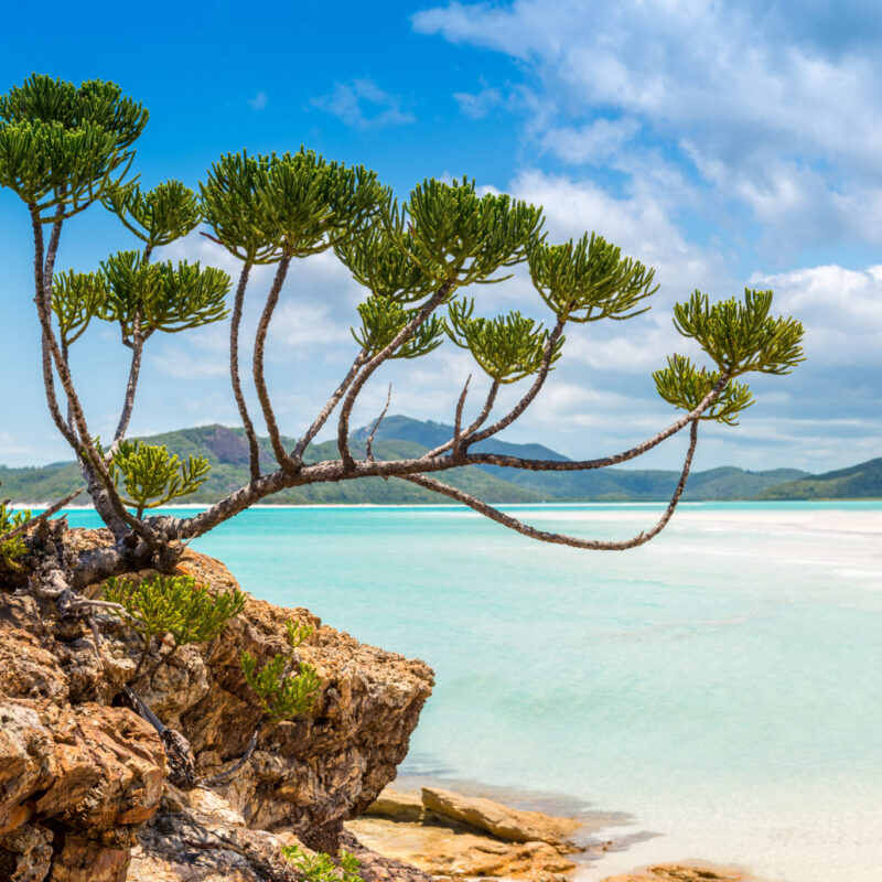 WHITSUNDAYS_WATER